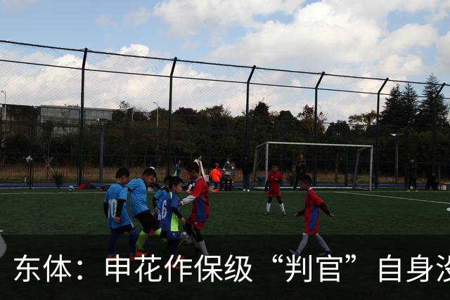 东体：申花作保级“判官”自身没压力，下赛季骨架大致已成型