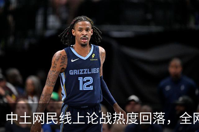 中土网民线上论战热度回落，全网开启新一轮反思