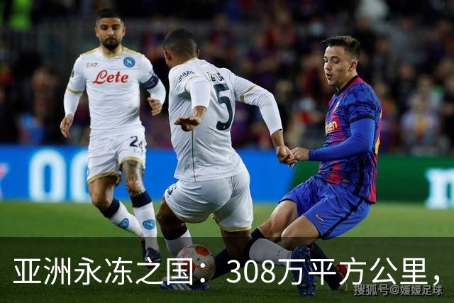 亚洲永冻之国：308万平方公里，却仅98万人，为何生育率这么低？