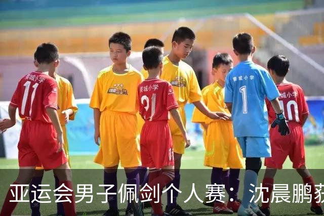 亚运会男子佩剑个人赛：沈晨鹏获亚军-国际在线