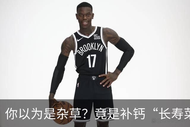 你以为是杂草？竟是补钙“长寿菜”！清湿热、补钙质，可惜很多人当草扔了