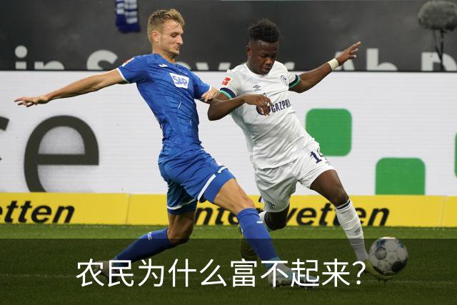 农民为什么富不起来？