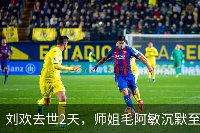 刘欢去世2天，师姐毛阿敏沉默至今，水哥证实，原因曝光让人泪目