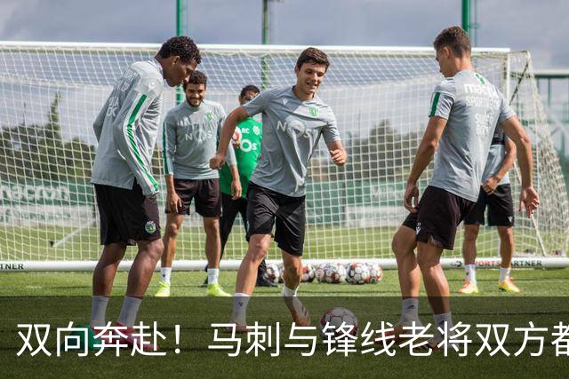 双向奔赴！马刺与锋线老将双方都认为彼此非常契合？