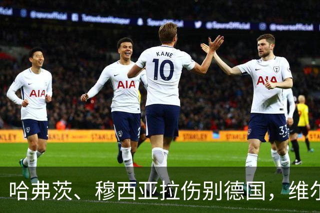 哈弗茨、穆西亚拉伤别德国，维尔茨、布尔卡特入替