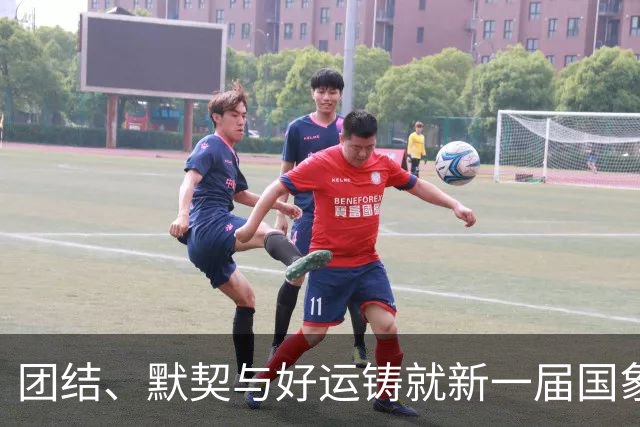 团结、默契与好运铸就新一届国象奥赛女团冠军
