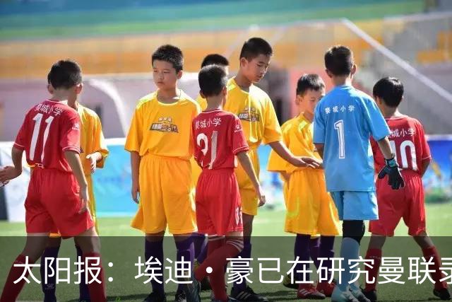太阳报：埃迪·豪已在研究曼联录像和做笔记，他是俱乐部总监首选