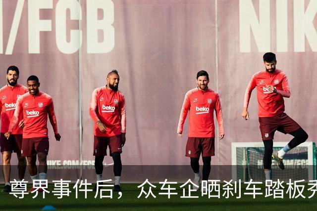 尊界事件后，众车企晒刹车踏板秀肌肉，老头乐也来凑热闹