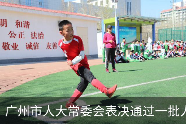 广州市人大常委会表决通过一批人事任免事项