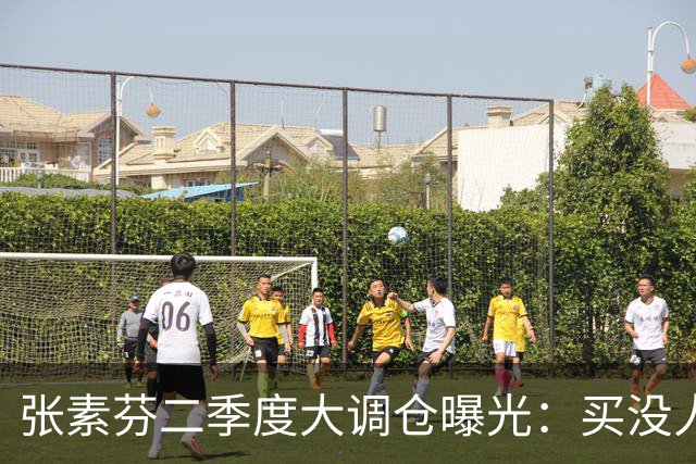 张素芬二季度大调仓曝光：买没人要的，卖大家都追的，这才是高手
