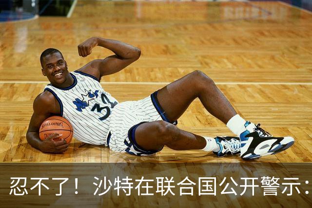 忍不了！沙特在联合国公开警示：有人假谈和平，暗中给胡塞送装备