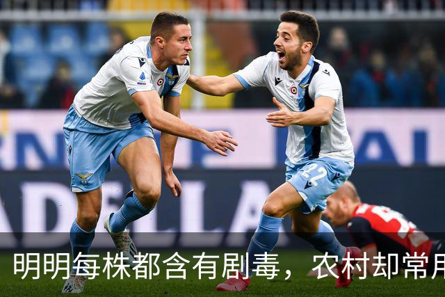 明明每株都含有剧毒，农村却常用来做腌菜，如今为何消失不见？