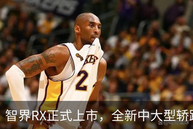 智界RX正式上市，全新中大型轿跑SUV，外观很帅，377马力/594马力