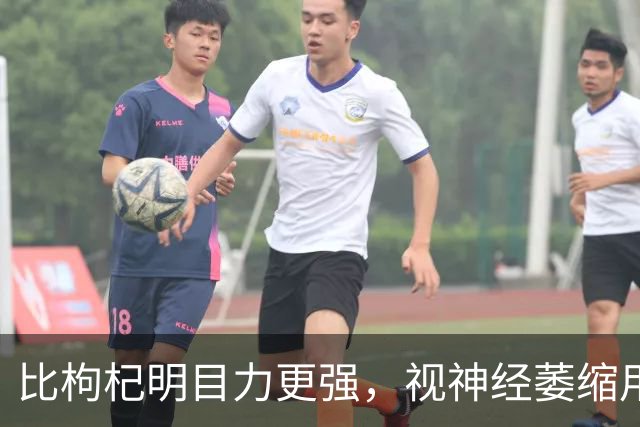 比枸杞明目力更强，视神经萎缩用它泡水，视力稳住了，眼睛亮起来