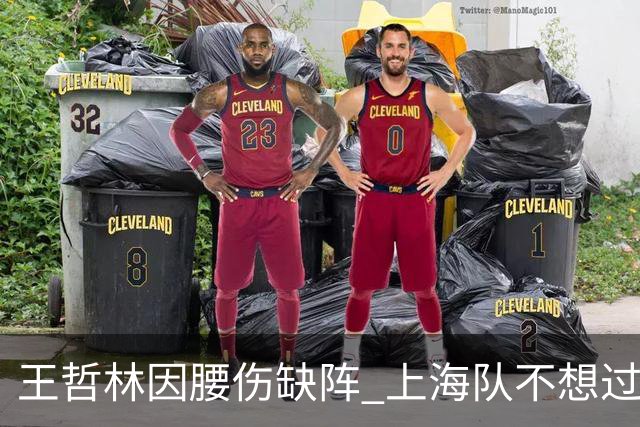 王哲林因腰伤缺阵 上海队不想过度使用大王