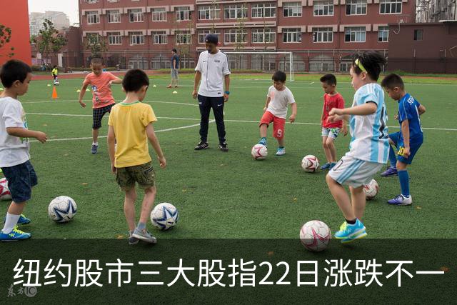 纽约股市三大股指22日涨跌不一