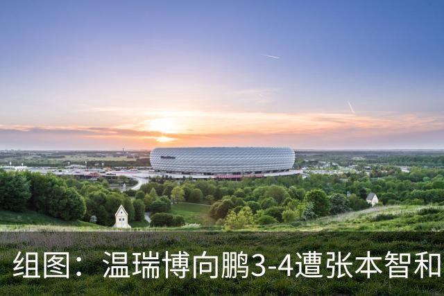 组图：温瑞博/向鹏3-4遭张本智和组合逆转 表情失落