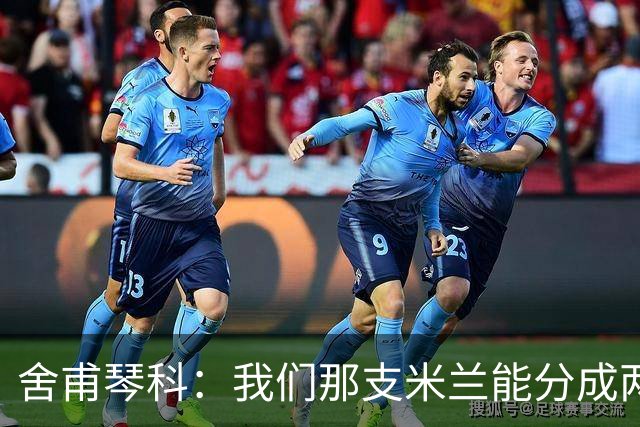 舍甫琴科：我们那支米兰能分成两队去踢决赛，执教那支球队很容易