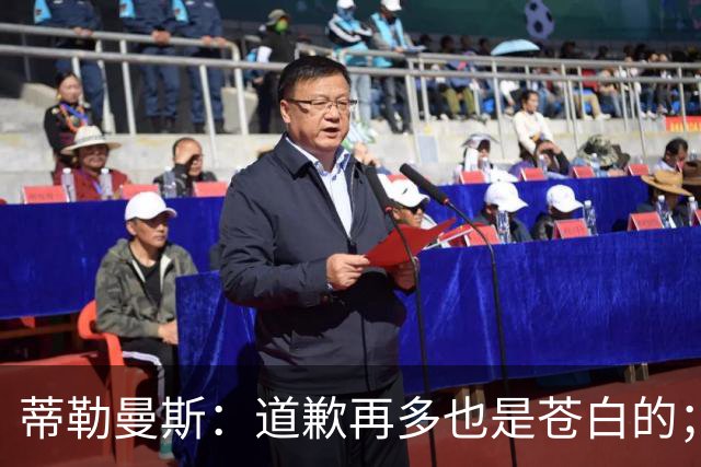 蒂勒曼斯：道歉再多也是苍白的；我们几乎所有环节都脱节了