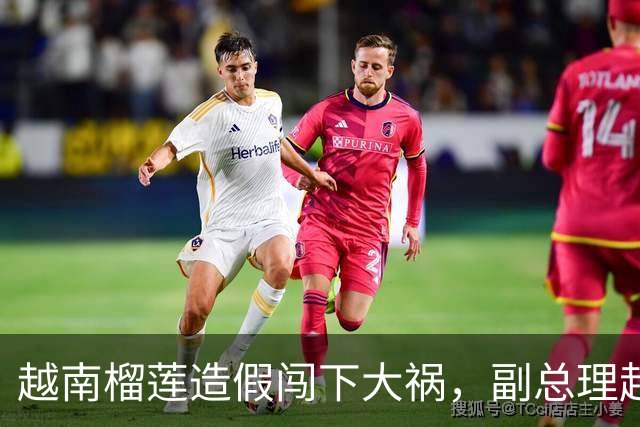越南榴莲造假闯下大祸，副总理赶到南宁，请中国再给他们次机会？