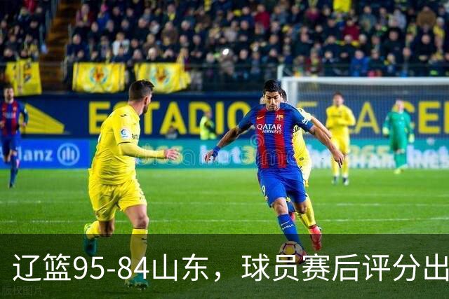 辽篮95-84山东，球员赛后评分出炉，1人完美3人优秀，外援真不错