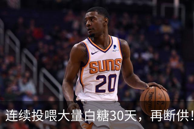 连续投喂大量白糖30天，再断供！国外网红扮“蚂蚁天神”整蛊野生蚁群