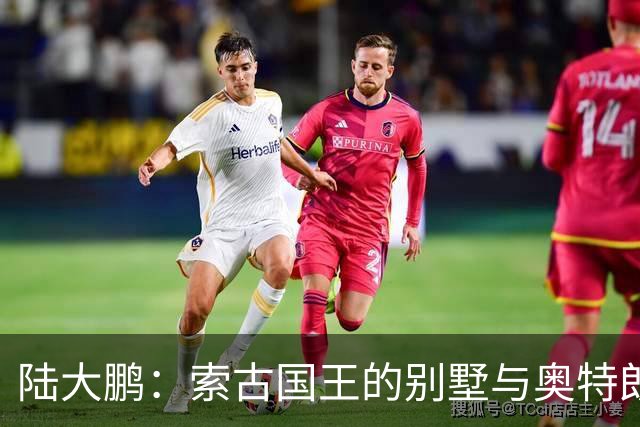 陆大鹏：索古国王的别墅与奥特朗托的悲剧