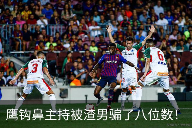 鹰钩鼻主持被渣男骗了八位数！