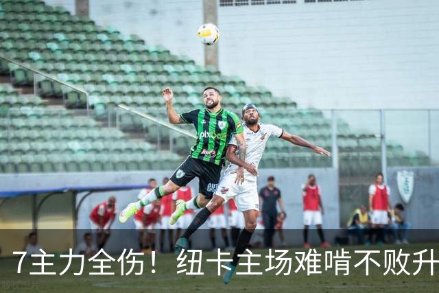 7主力全伤！纽卡主场难啃不败升班马