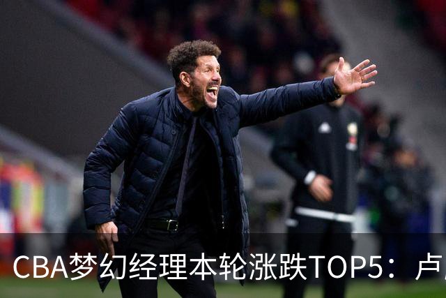 CBA梦幻经理本轮涨跌TOP5：卢鹏羽上涨38.66%领涨，张镇麟位列第三！